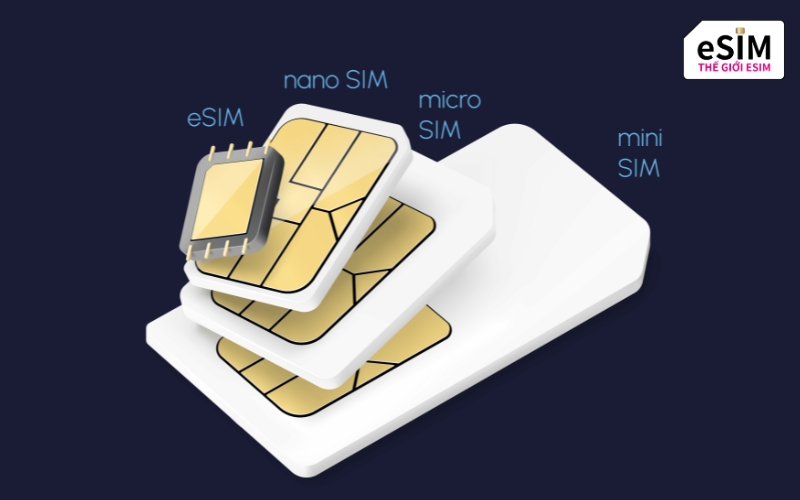 eSIM có số điện thoại hỗ trợ nghe gọi, SMS và kết nối internet khi du lịch